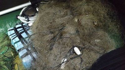 На Прикарпатті зі 100 тисяч гривень завданих збитків, браконьєри заплатили 3,5 тисячі На Прикарпатті зі 100 тисяч гривень завданих збитків, браконьєри заплатили 3,5 тисячі