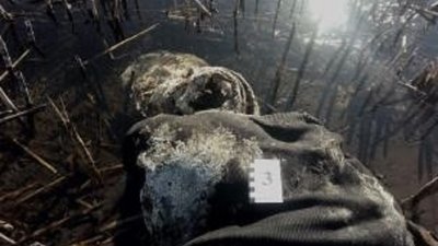 На Донеччині біля водойми діти знайшли рештки людини На Донеччині біля водойми діти знайшли рештки людини