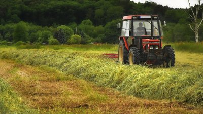 Громадян України немає серед заробітчан, які захворіли на COVID-19 на німецькій фермі — консульство