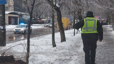 Падали дерева, зупинились тролейбуси, ожеледиця на дорогах: наслідки негоди у Херсоні Падали дерева, зупинились тролейбуси, ожеледиця на дорогах: наслідки негоди у Херсоні