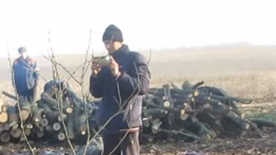 Незаконна вирубка дерев. На Миколаївщині судитимуть угрупування, до складу якої входили два депутати Незаконна вирубка дерев. На Миколаївщині судитимуть угрупування, до складу якої входили два депутати
