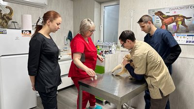 Малий та середній бізнес. На Миколаївщині протягом 2023 року працюють понад 65 відсотків підприємств Малий та середній бізнес. На Миколаївщині протягом 2023 року працюють понад 65 відсотків підприємств