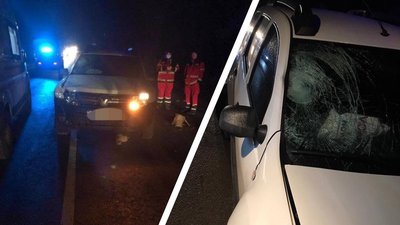 На Вінниччині автівка на смерть збила велосипедистку