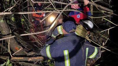 На Закарпаття водій легковика не впорався з керуванням та з’їхав у гірську річку