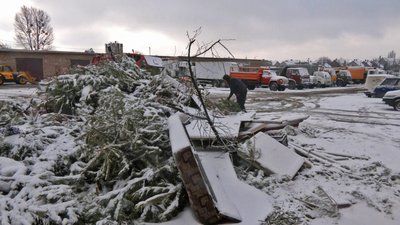 утилізація новорічних дерев у Луцькій громаді утилізація новорічних дерев у Луцькій громаді