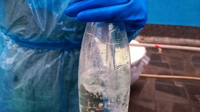 Як у Житомирі відзначають Водохреще за новоюліанським календарем Як у Житомирі відзначають Водохреще за новоюліанським календарем