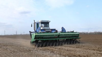 На Миколаївщині розпочато посів пізніх ярих культур