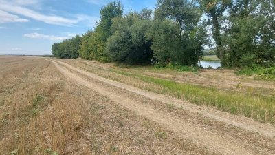 земля, південний буг, незаконний засів