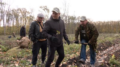 Ветерани посадили ліс