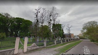 На історичному цвинтарі у Рівному зрізали дерева. Хто і чому На історичному цвинтарі у Рівному зрізали дерева. Хто і чому