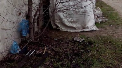 На Житомирщині невідомі застрелили чотирьох собак, які жили на території гаражного кооперативу На Житомирщині невідомі застрелили чотирьох собак, які жили на території гаражного кооперативу