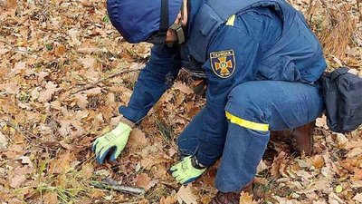 У Малинській, Народицькій та Ушомирській громадах на Житомирщині знайшли боєприпаси часів минулих війн та сучасності