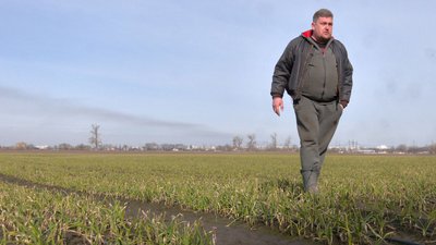 Як черкаські тепличники працюють під час війни Як черкаські тепличники працюють під час війни