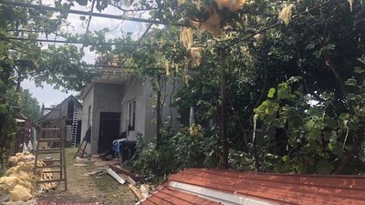Понад 30 покрівель будинків пошкодив вітер в Берегівському районі на Закарпатті Понад 30 покрівель будинків пошкодив вітер в Берегівському районі на Закарпатті