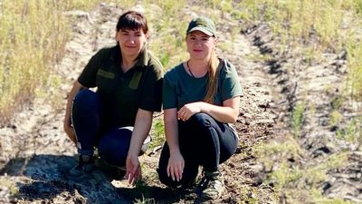 На деокупованій Вовчанщині планують відновити понад 13 га лісів восени 2023 року На деокупованій Вовчанщині планують відновити понад 13 га лісів восени 2023 року