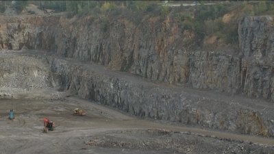 Історія порятунку: як почувається врятована з карʼєру на Вінниччині вівчарка