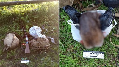 "У рюкзаках було м'ясо вбитого лося": жителя Рівненщини викрили на браконьєрстві