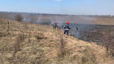 За добу Черкаські рятувальники тричі гасили пожежу на відкритій території