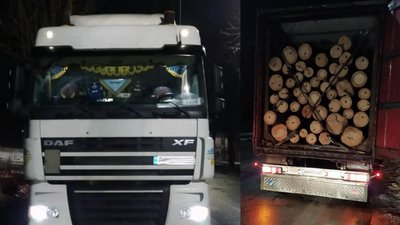 У Житомирі поліцейські зупинили тентовану вантажівку з незаконним лісом