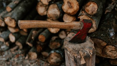 Запоріжців закликають не кидати ялинки до сміттєвих баків Запоріжців закликають не кидати ялинки до сміттєвих баків