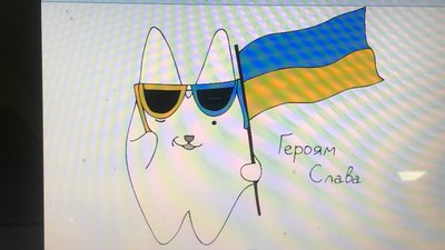 Допомагає волонтерити: Кролик Кетрик житомирянки Катерини Бабенко розширює свої можливості Допомагає волонтерити: Кролик Кетрик житомирянки Катерини Бабенко розширює свої можливості