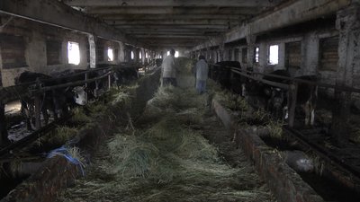 Найнижчі зарплати в області отримують жителі Новгород-Сіверського району Найнижчі зарплати в області отримують жителі Новгород-Сіверського району