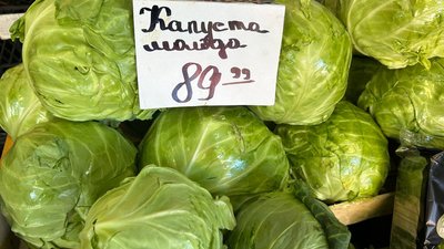 житомир, капуста, ціна, 15 квітня 2026 року