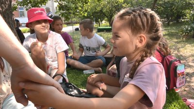 зелені галявини зелені галявини