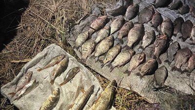 Незаконний вилов риби на Тернопільщні, риба, браконьєрство, Нацполіція Тернопільщини