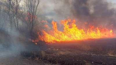 На Одещині горить національний природний парк
