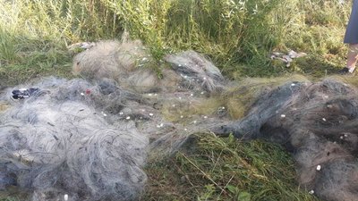 Фото: Держекоінспекція Фото: Держекоінспекція