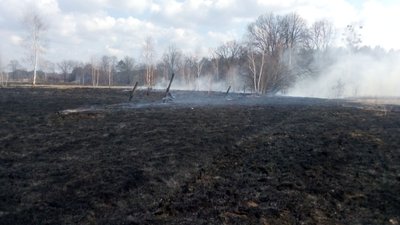На Житомирщині за добу в семи районах області вигоріли два десятки гектарів сухостою