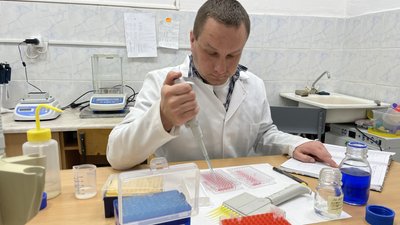 Учені з'ясували, що похідні ферулової кислоти покращують здатність вчитися та запам’ятовувати, причому у дуже низьких концентраціях Учені з'ясували, що похідні ферулової кислоти покращують здатність вчитися та запам’ятовувати, причому у дуже низьких концентраціях