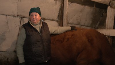 Кількість корів у приватних домогосподарствах Черкащини за 2022 рік зменшилася на дві тисячі: в чому причина Кількість корів у приватних домогосподарствах Черкащини за 2022 рік зменшилася на дві тисячі: в чому причина