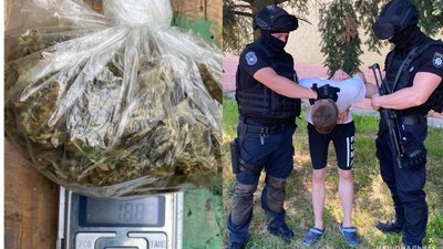 На Закарпатті затримали групу людей за збут канабісу На Закарпатті затримали групу людей за збут канабісу