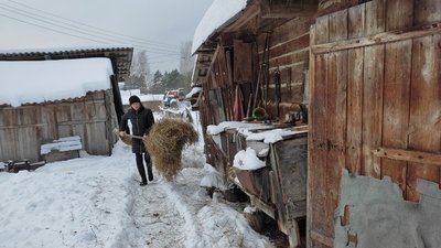 "Кого не зустріну — всі мене вітають": волинянка втретє написала Радіодиктант національної єдності без помилок "Кого не зустріну — всі мене вітають": волинянка втретє написала Радіодиктант національної єдності без помилок