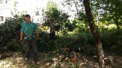 Благоустрій чи знищення дерев: конфлікт на прибудинковій території у Луцьку Благоустрій чи знищення дерев: конфлікт на прибудинковій території у Луцьку
