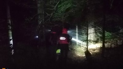 Пішов по гриби та не повернувся. У Чернівецькій області шукають 60-річного чоловіка Пішов по гриби та не повернувся. У Чернівецькій області шукають 60-річного чоловіка