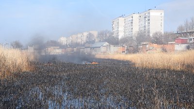 Пожежі в екосистемах Миколаївщини. Фахівці назвали причини