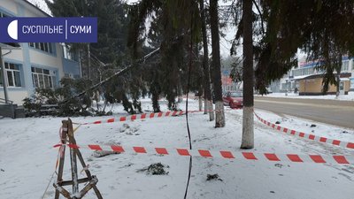 Наслідки дії шквального вітру в Сумах (ФОТОРЕПОРТАЖ)