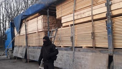 Зрубали смерек на 15 млн грн. На Буковині затримали підозрюваних у незаконній рубці лісу