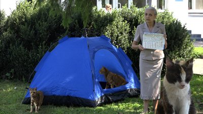 Шукає притулок 50 котам. Людмила Дворниченко. СУСПІЛЬНЕ | ЛЮДИ