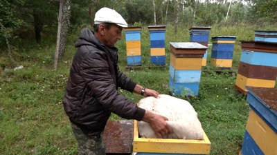 Анатолій Телегуз Анатолій Телегуз