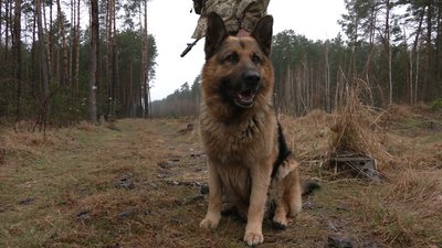 Як на Рівненщині захищають кордон з Білоруссю та що кажуть місцеві Як на Рівненщині захищають кордон з Білоруссю та що кажуть місцеві