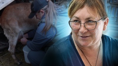 Рубає дрова, косить траву й малює «петриківку»: історія жінки з Кіровоградщини
