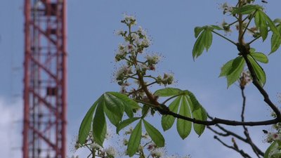 Аномально теплий жовтень на Херсонщині: які прогнози