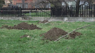 В Одесі навчали висаджувати дерева на майстер-класі