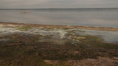 Цвітіння води, стоки та дрейфуючі міни: екологія Чорного моря очима експертів Цвітіння води, стоки та дрейфуючі міни: екологія Чорного моря очима експертів