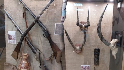 "Safarі. Трофеї минулого": у Миколаївському краєзнавчому музеї відкрили виставку "Safarі. Трофеї минулого": у Миколаївському краєзнавчому музеї відкрили виставку