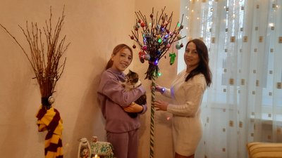 З різних матеріалів усіх кольорів. Які ялинки встановили кропивничани у себе вдома замість живих З різних матеріалів усіх кольорів. Які ялинки встановили кропивничани у себе вдома замість живих
